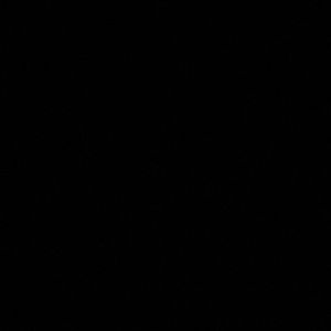 Meet your Posher, Rosalinda